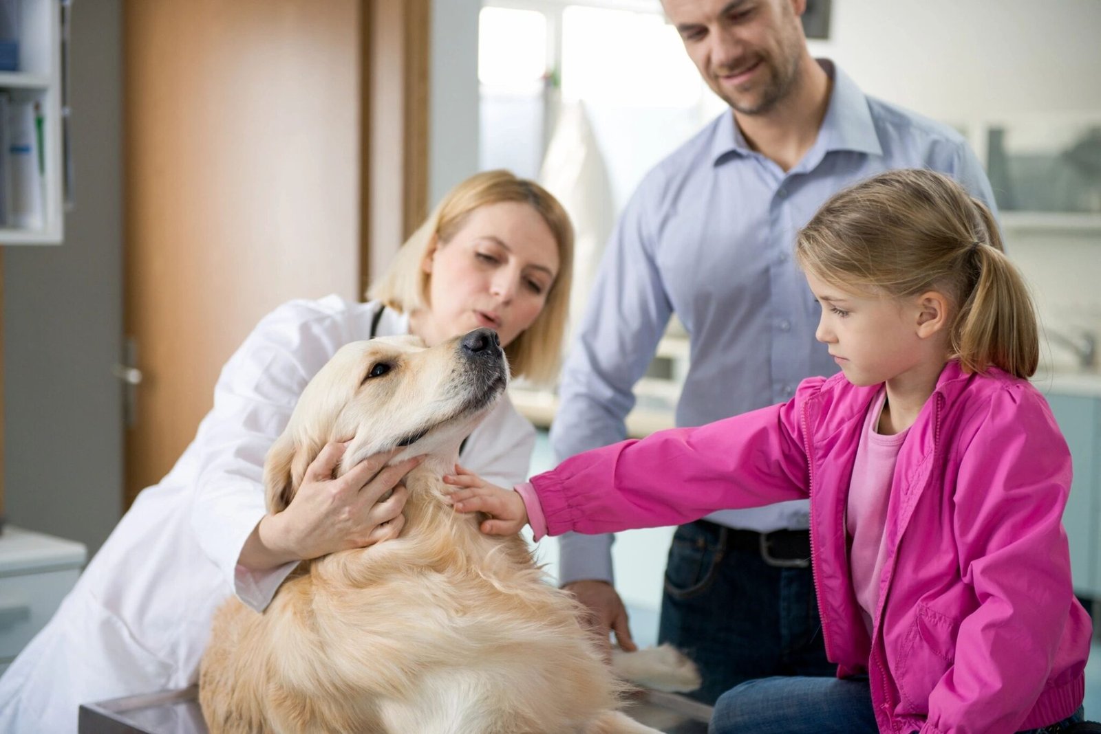 Personalized veterinary formulations from Pico Care Pharmacy, providing custom medications tailored to meet the specific health needs of pets.